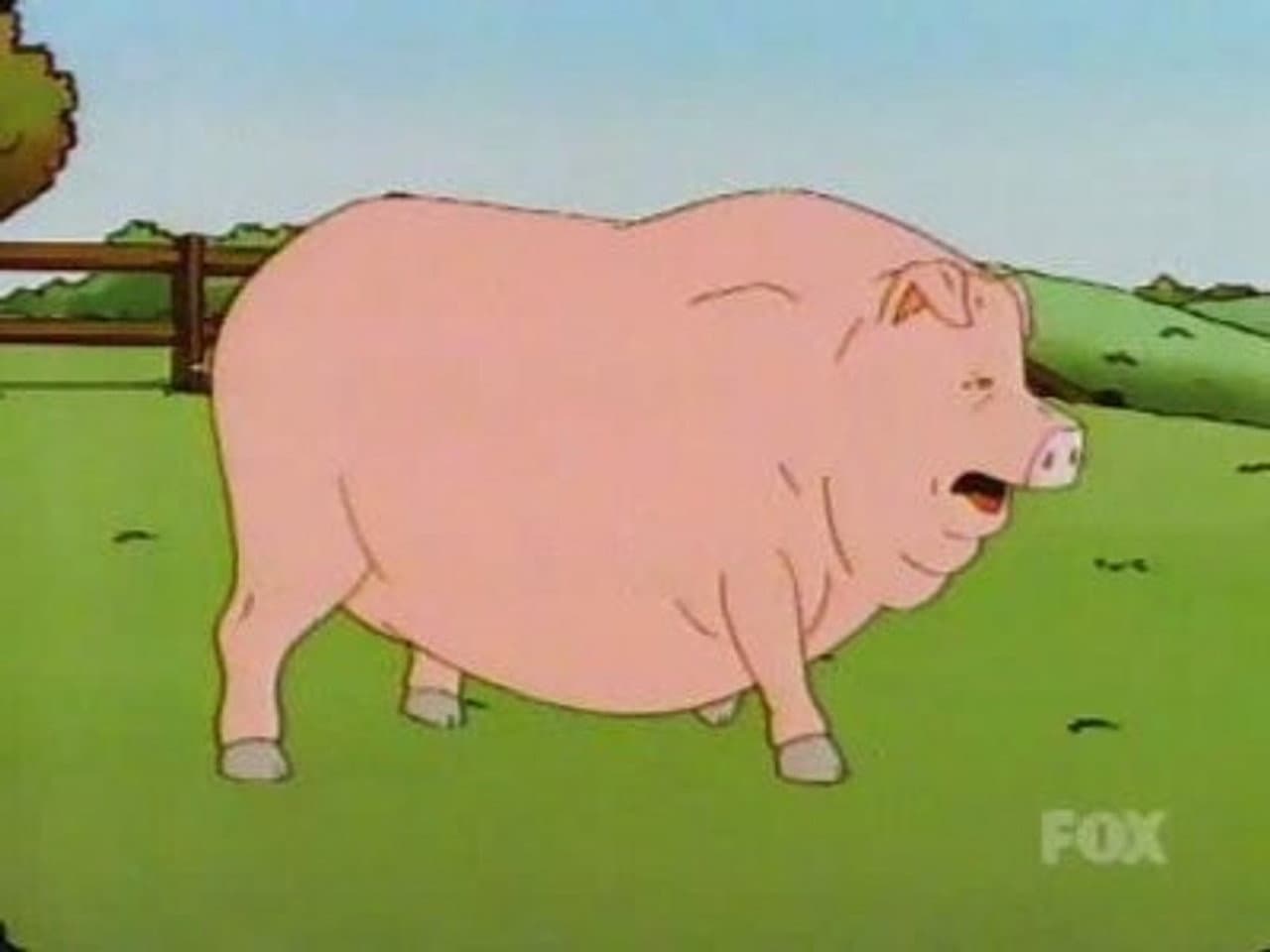 Pigmalion